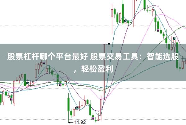 股票杠杆哪个平台最好 股票交易工具：智能选股，轻松盈利