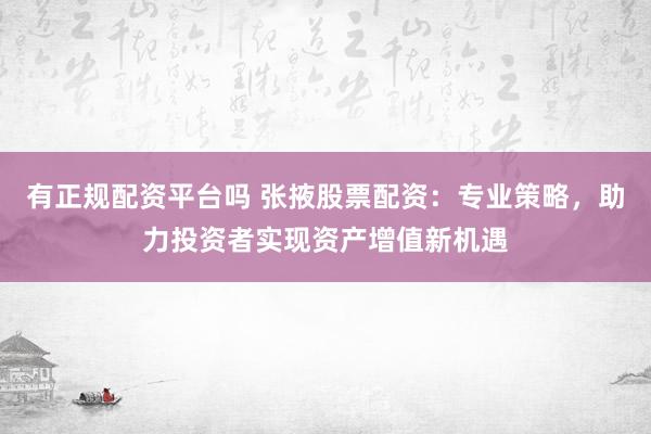 有正规配资平台吗 张掖股票配资：专业策略，助力投资者实现资产增值新机遇