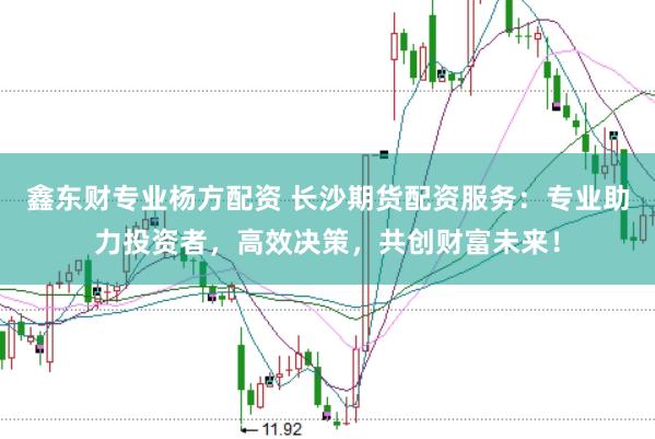 鑫东财专业杨方配资 长沙期货配资服务：专业助力投资者，高效决策，共创财富未来！