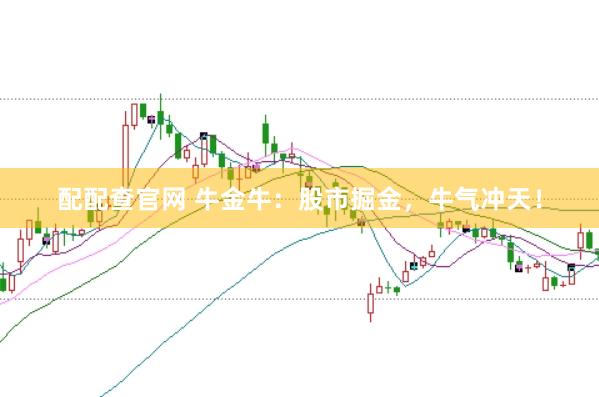 配配查官网 牛金牛：股市掘金，牛气冲天！