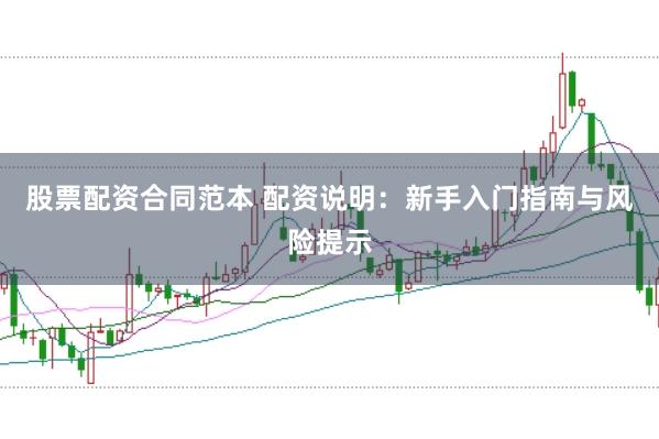 股票配资合同范本 配资说明：新手入门指南与风险提示