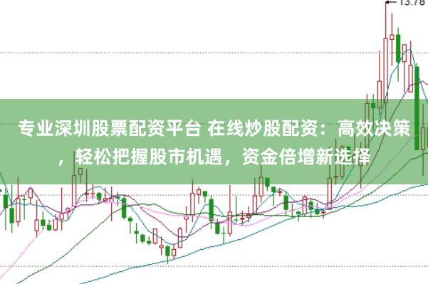 专业深圳股票配资平台 在线炒股配资：高效决策，轻松把握股市机遇，资金倍增新选择