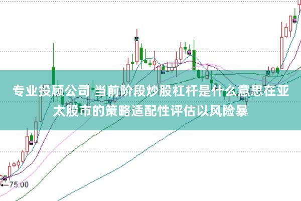专业投顾公司 当前阶段炒股杠杆是什么意思在亚太股市的策略适配性评估以风险暴