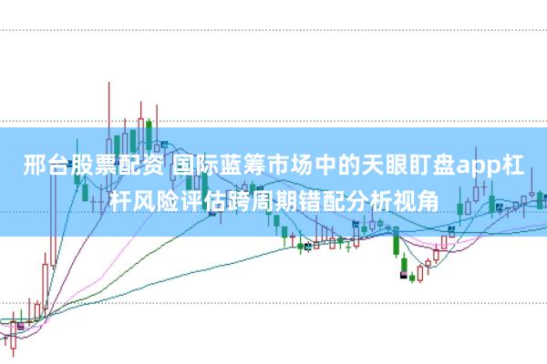 邢台股票配资 国际蓝筹市场中的天眼盯盘app杠杆风险评估跨周期错配分析视角