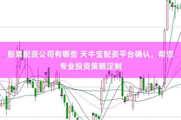 股票配资公司有哪些 天牛宝配资平台确认，帮您专业投资策略定制