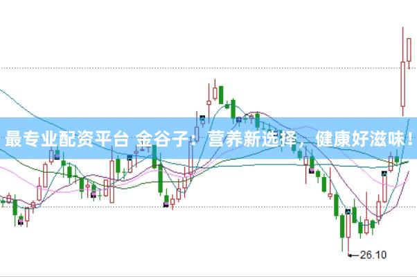 最专业配资平台 金谷子：营养新选择，健康好滋味！